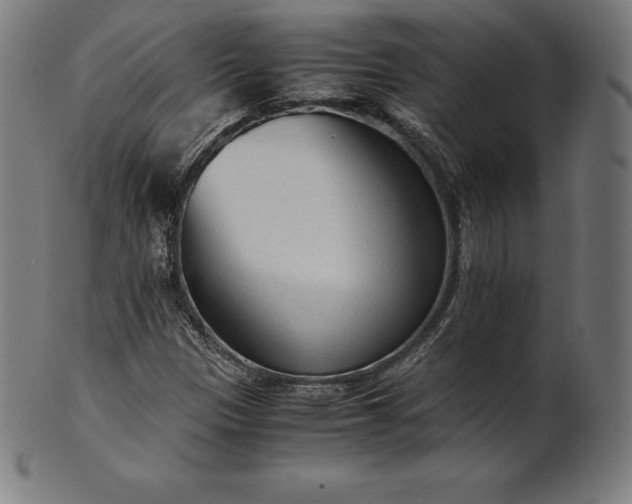 X0000101191305200807110935