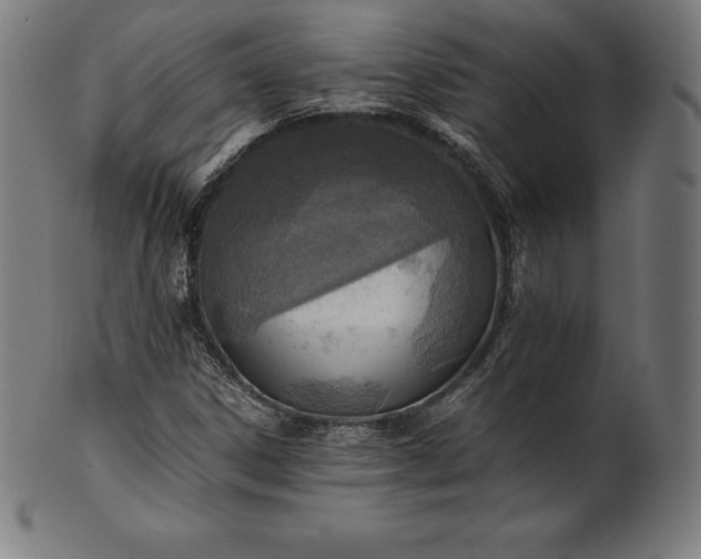 X0000101191306200807110935