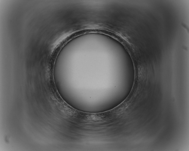 X0000101191311200807110935