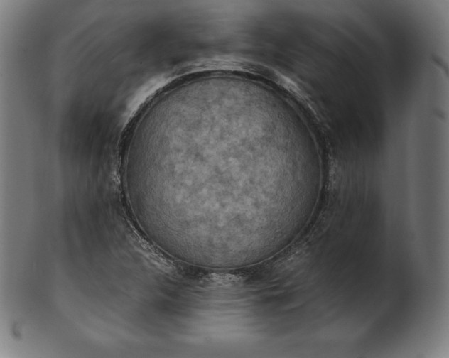 X0000101191312200807110935