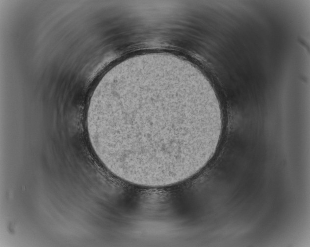 X0000101191314200807110935