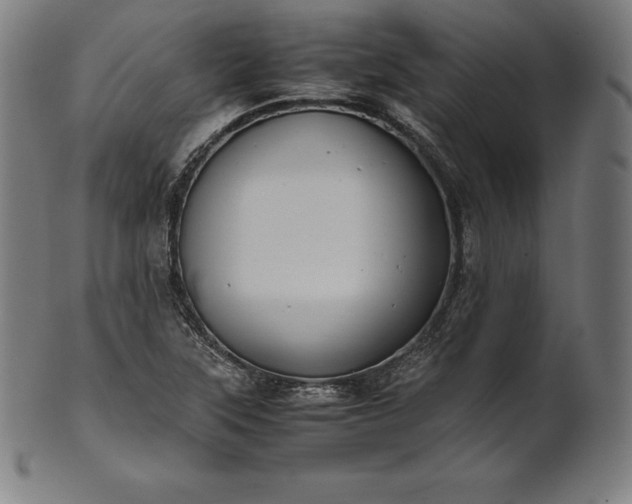 X0000101191315200807110935