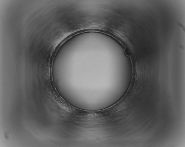 X0000101191316200807110935