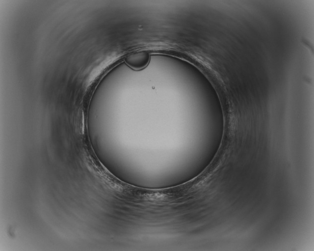 X0000101191317200807110935