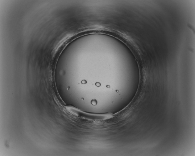 X0000101191318200807110935