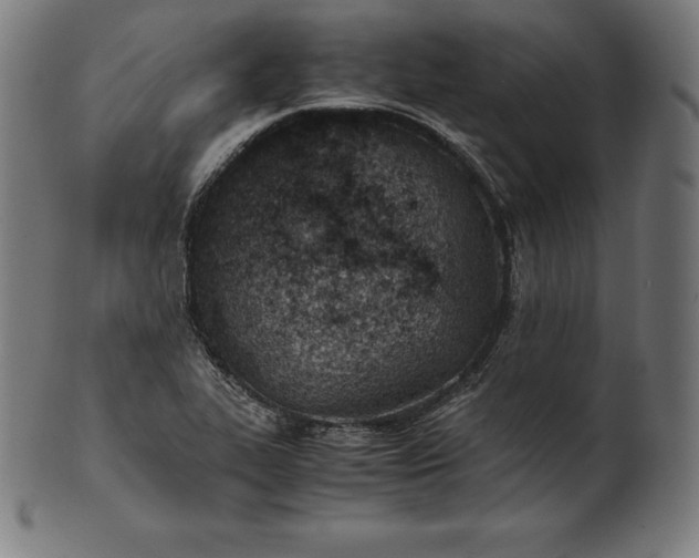 X0000101191319200807110935