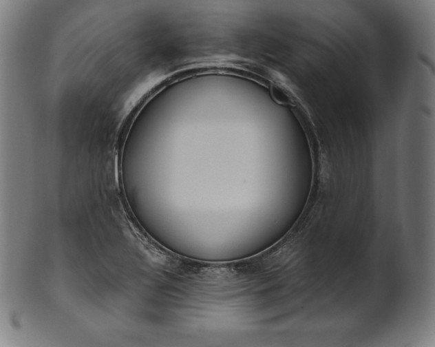 X0000101191320200807110935