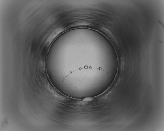 X0000101191321200807110935