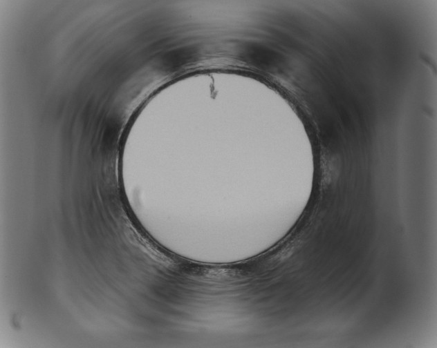 X0000101191322200807110935
