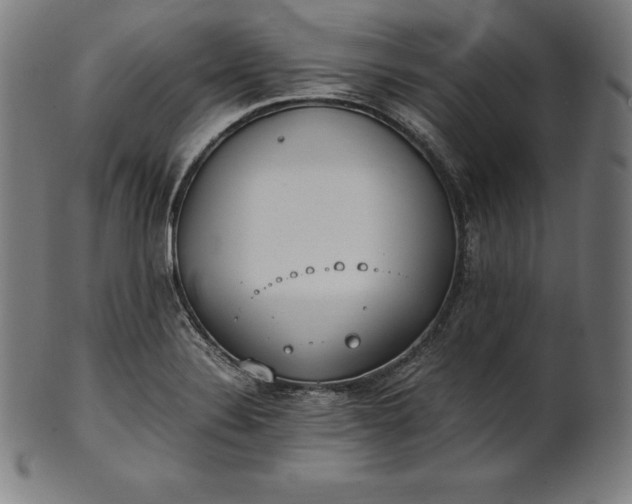 X0000101191324200807110935