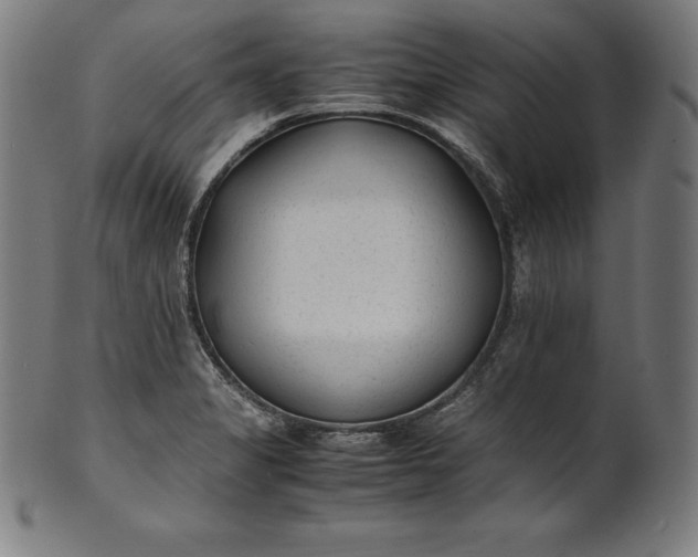 X0000101191325200807110935