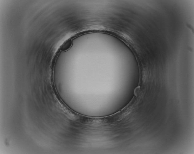 X0000101191326200807110935