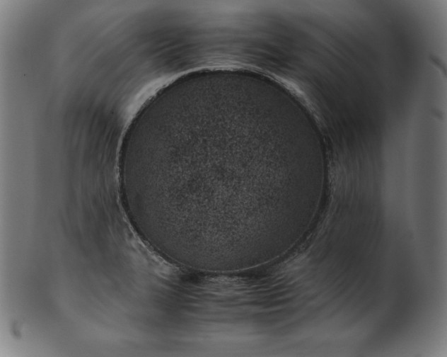 X0000101191327200807110935