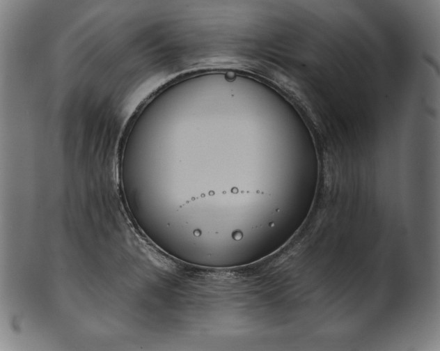 X0000101191328200807110935