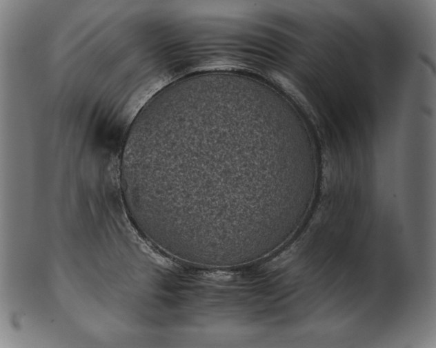 X0000101191329200807110935