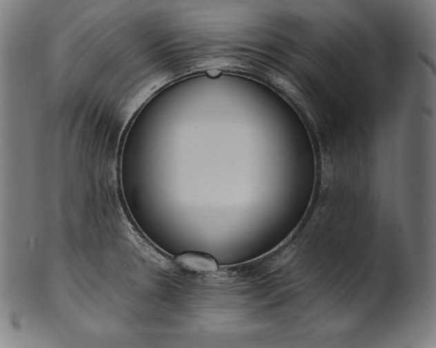 X0000101191330200807110935