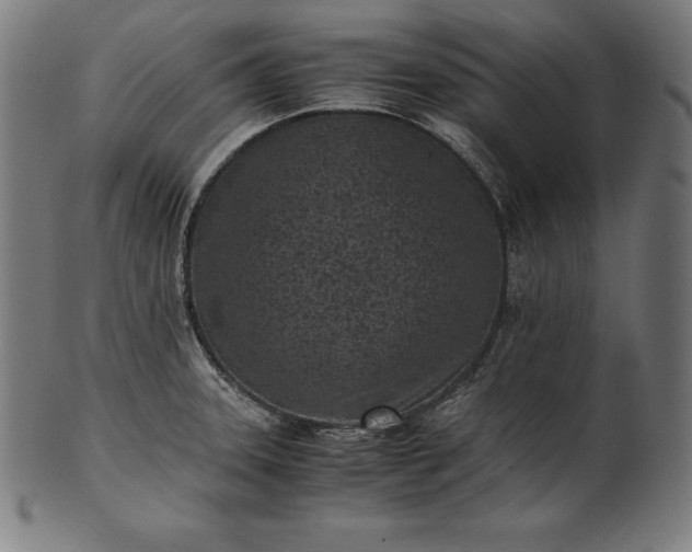 X0000101191331200807110935