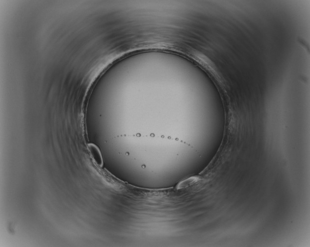 X0000101191332200807110935