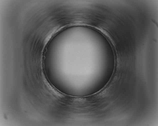 X0000101191333200807110935