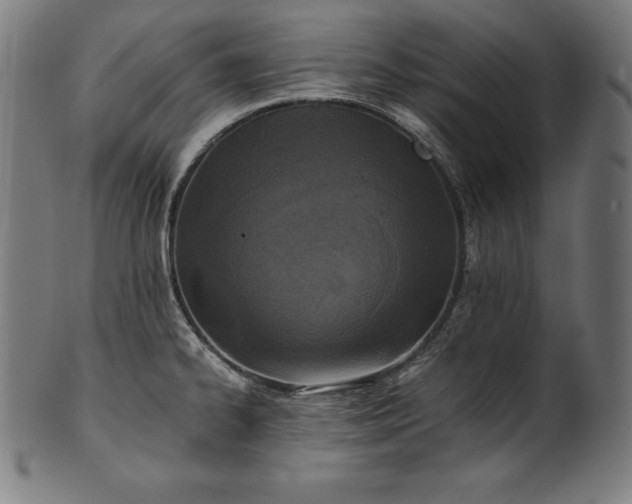 X0000101191334200807110935