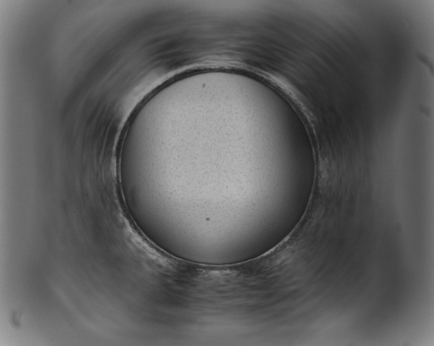 X0000101191335200807110936
