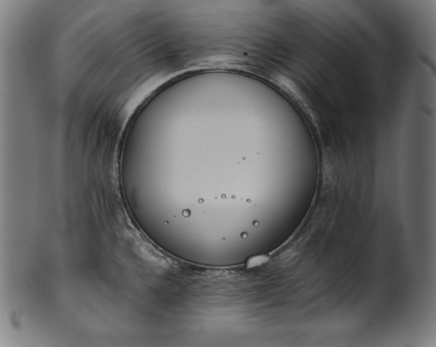 X0000101191336200807110936