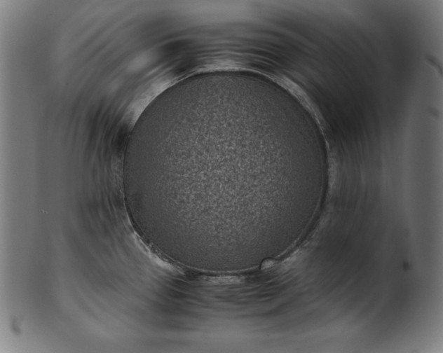 X0000101191337200807110936