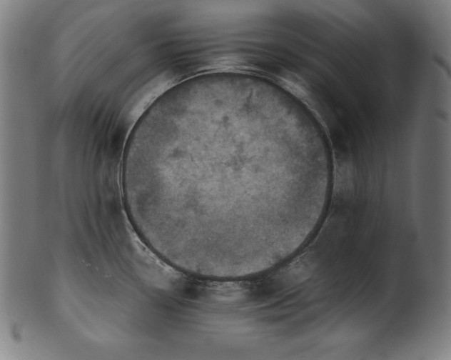 X0000101191338200807110936