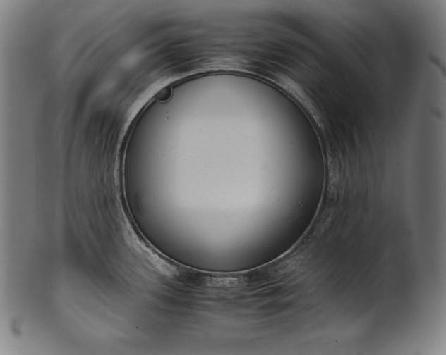X0000101191339200807110936