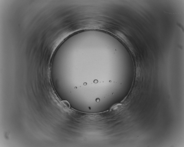 X0000101191340200807110936
