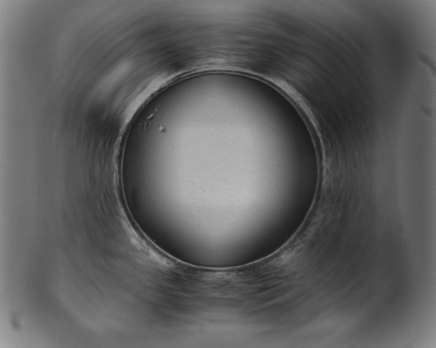 X0000101191341200807110936