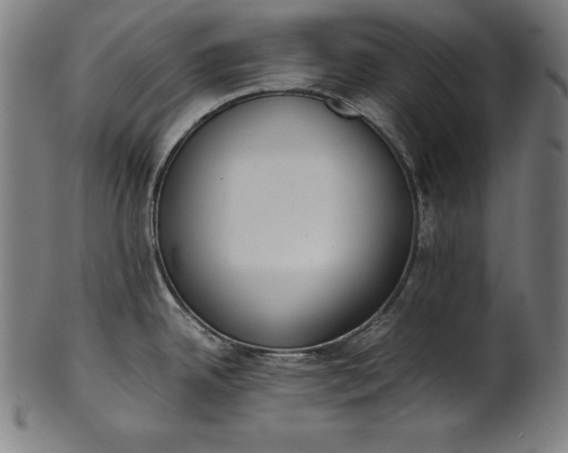 X0000101191342200807110936