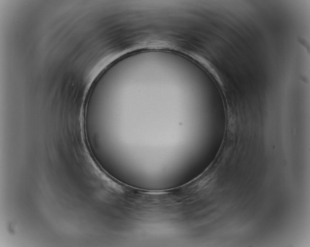 X0000101191343200807110936