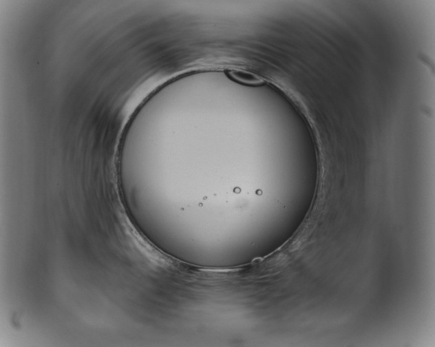 X0000101191344200807110936