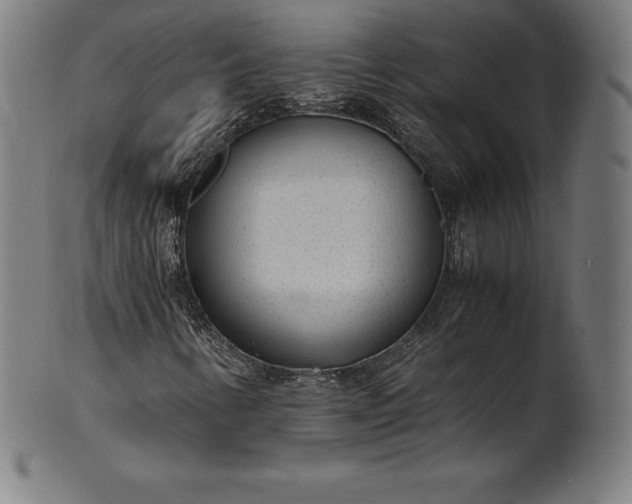 X0000101191346200807110935