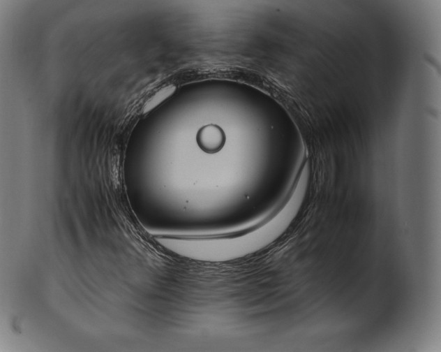 X0000101191348200807110935