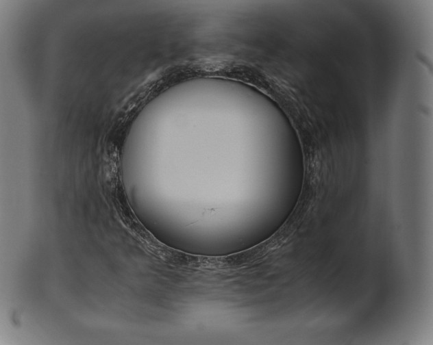 X0000101191349200807110935