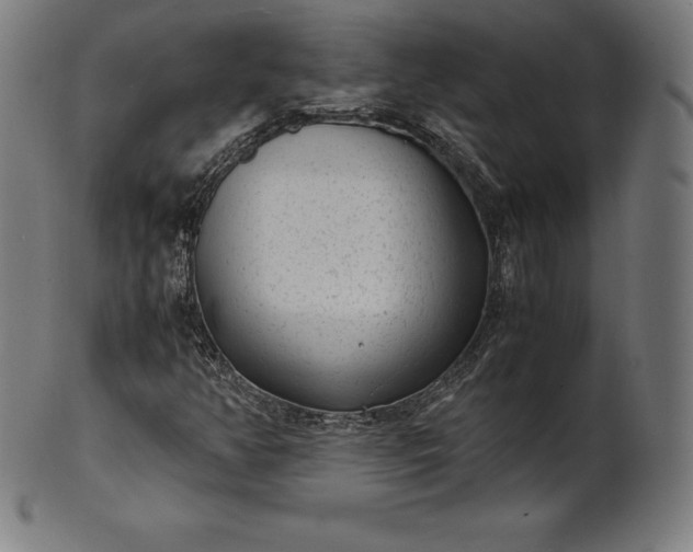 X0000101191350200807110935