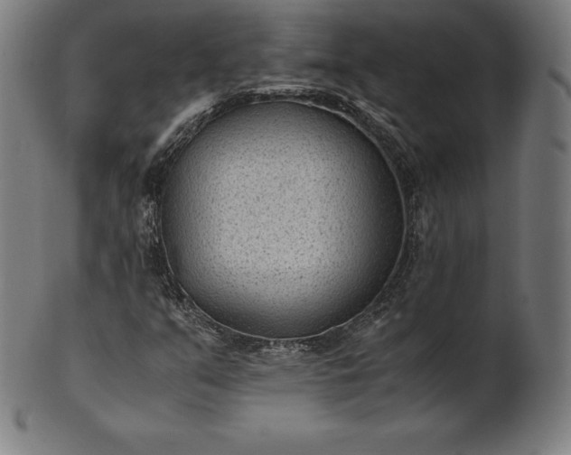 X0000101191351200807110935
