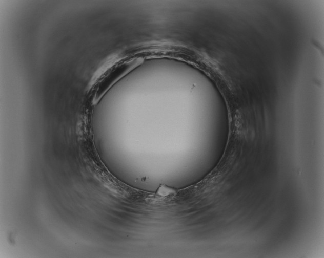 X0000101191352200807110935