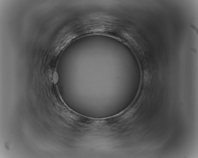 X0000101191353200807110935