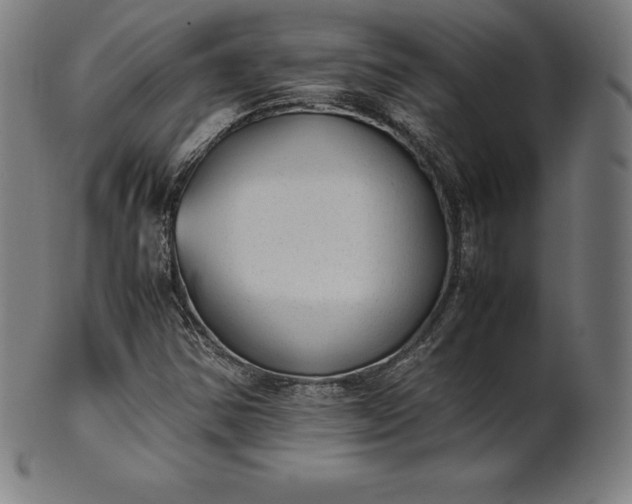 X0000101191354200807110935
