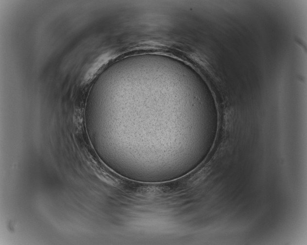 X0000101191355200807110935