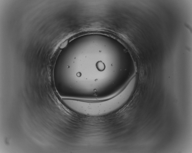 X0000101191356200807110935