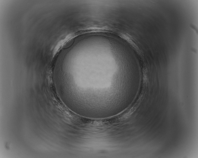 X0000101191357200807110935
