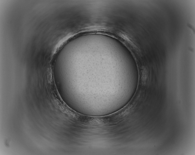 X0000101191358200807110935