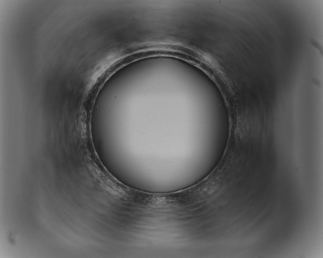 X0000101191360200807110935
