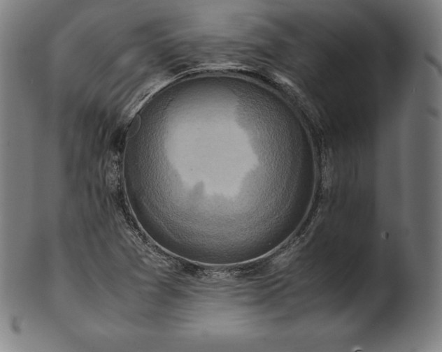 X0000101191361200807110935