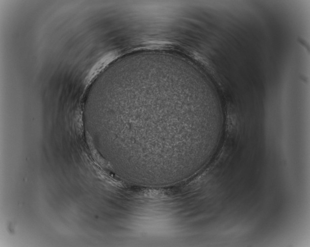 X0000101191362200807110935