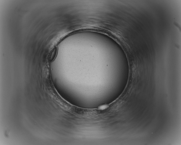 X0000101191363200807110935